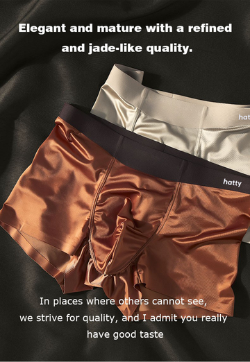 Mulberry Silk Antimicrobial Men's Boxer Briefs